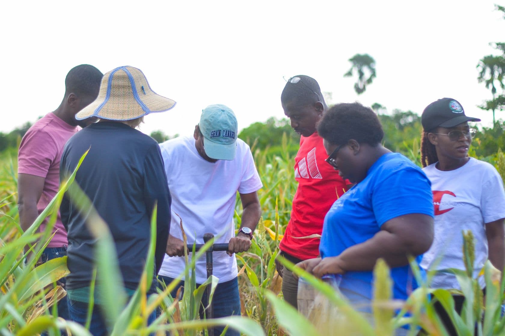 CarbonXtras Deploys Real-Time MRV System to Advance Climate-Smart Agriculture Background